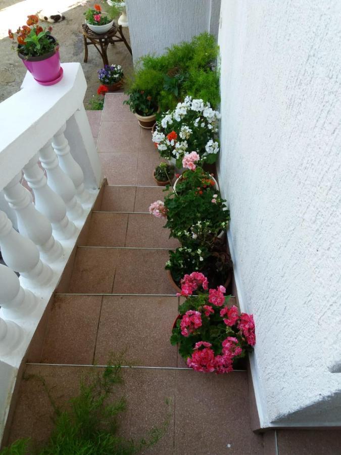 Apartman Sunce Raslina 외부 사진