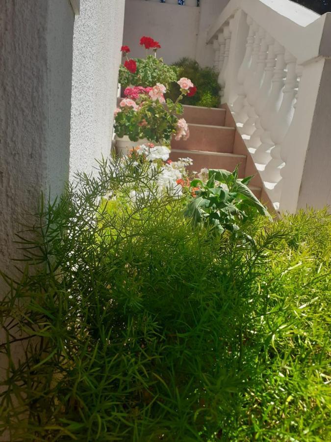 Apartman Sunce Raslina 외부 사진