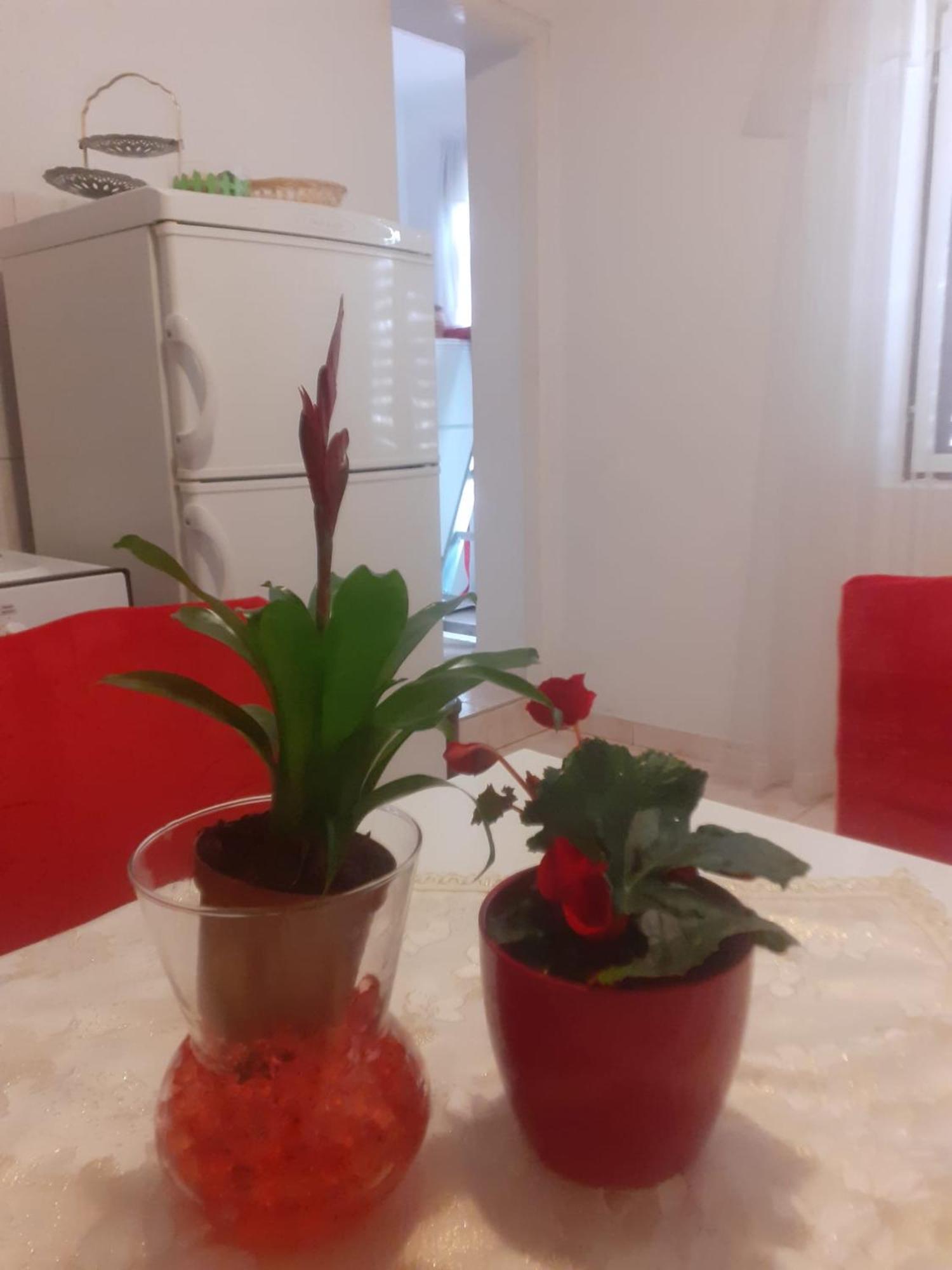 Apartman Sunce Raslina 외부 사진