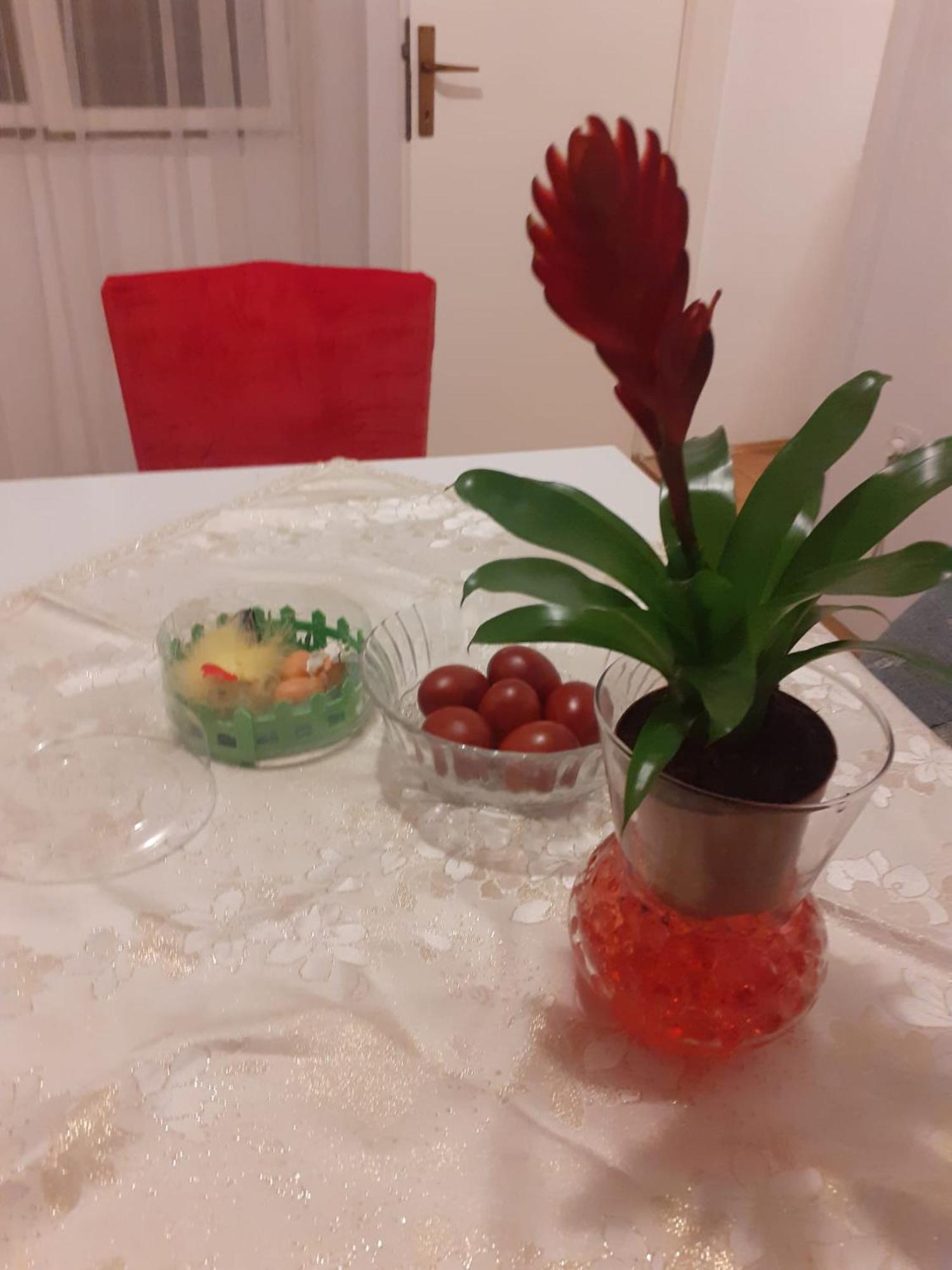 Apartman Sunce Raslina 외부 사진